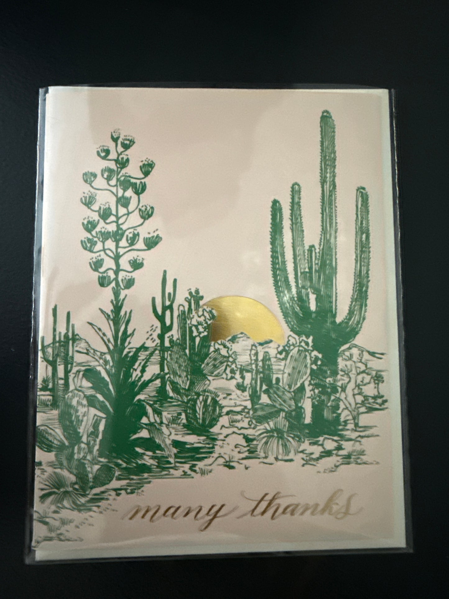 MANY THANKS CACTUS CARD