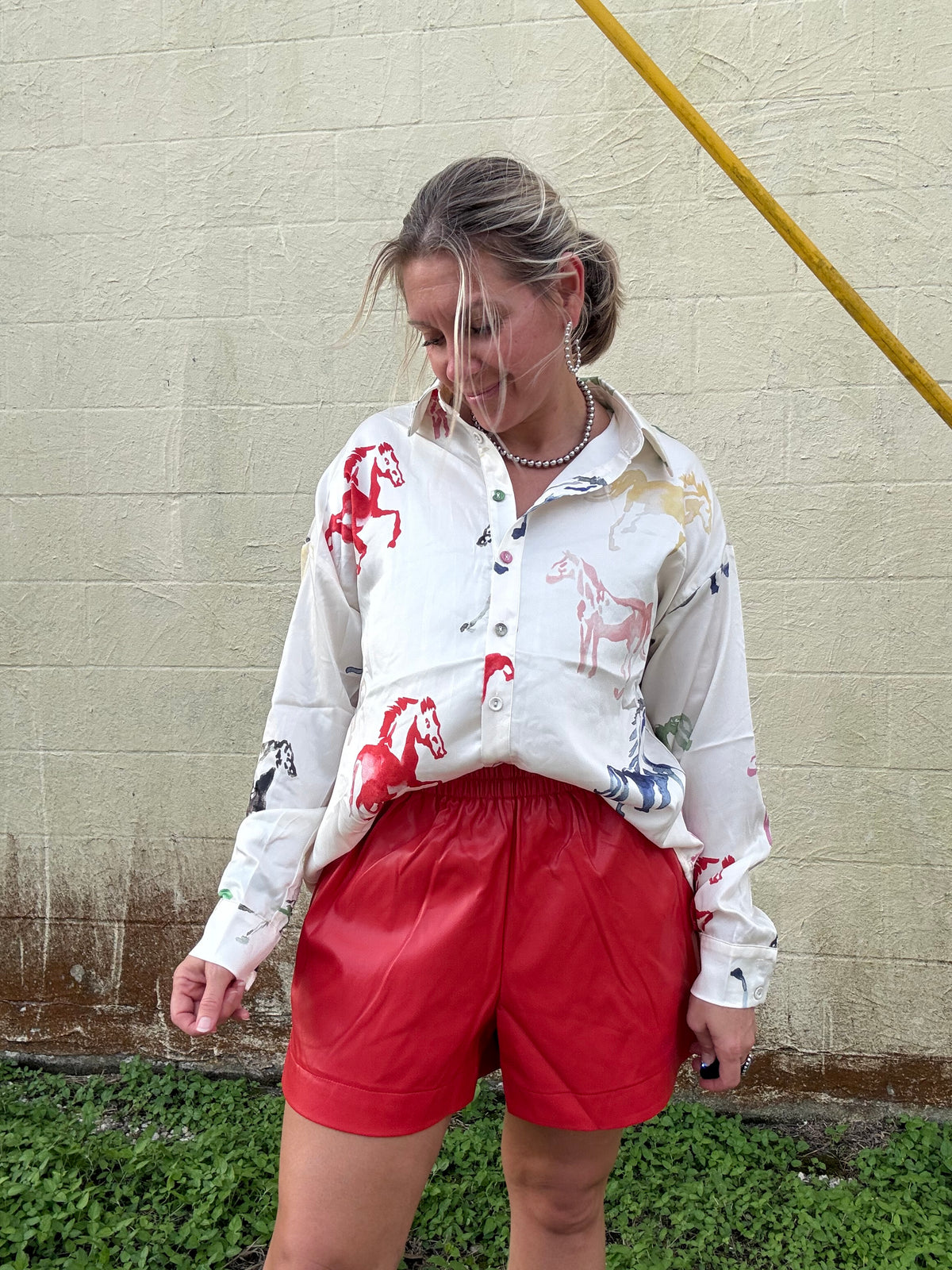 HORSE PRINT BUTTON DOWN TOP