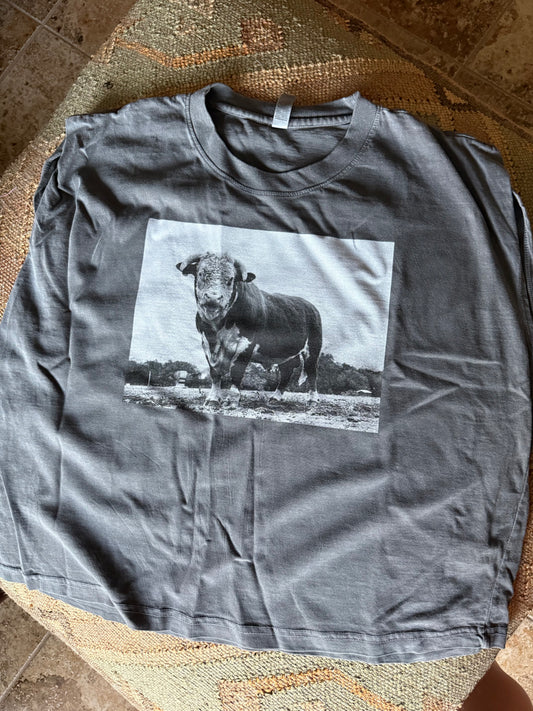 Hereford Bull Boxy Tank - Gray